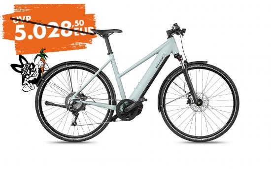 Riese & Mller Roadster Mixte touring - salvia matt - 53cm/L